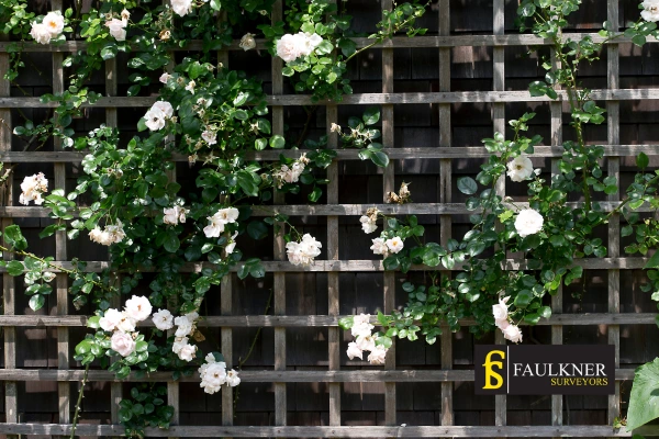 Can I put trellis on my Neighbours garage wall? 2 Do you want to adapt your neighbours garage door and add a trellis Ipswich? Talk to Faulkner Surveyor Ipswich